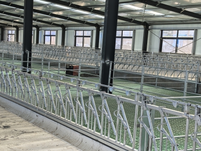 養(yǎng)殖場(chǎng)使用的熱鍍鋅羊頸夾的實(shí)際應(yīng)用場(chǎng)景   